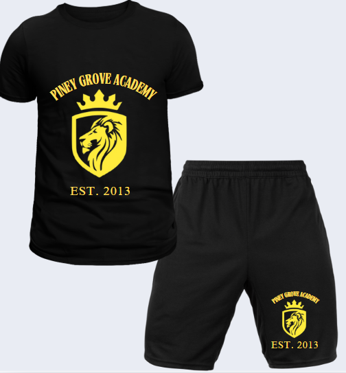 PE Set ;shirt and shorts